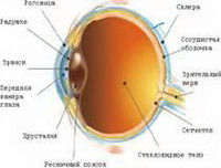 роль курения в нарушении зрения и возникновении заболеваний глаз